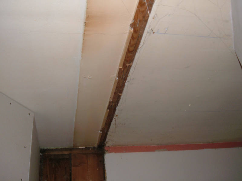 Original Bathroom Ceiling.