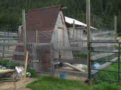 Modified chicken coop 