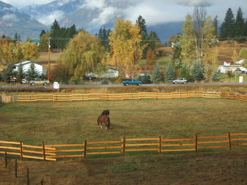 First Fence Was For The Baby.