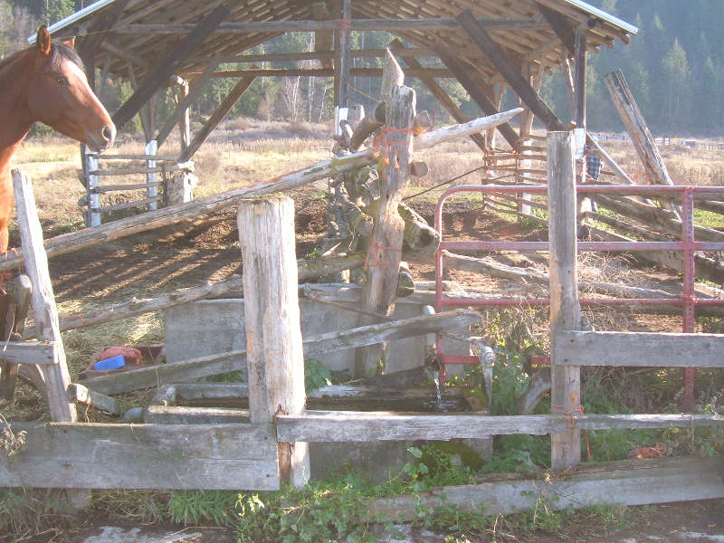 Original Fence Condition.