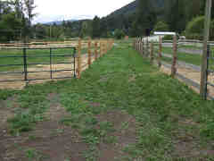 Alley fence