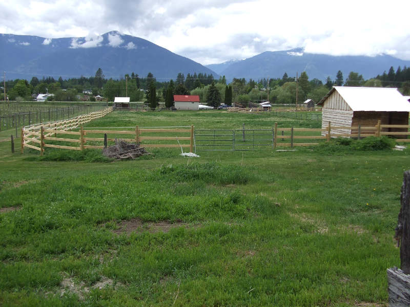 South Fence.