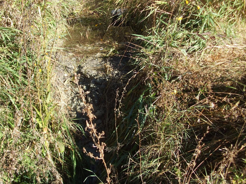 Silt Basin and Munge Filter.