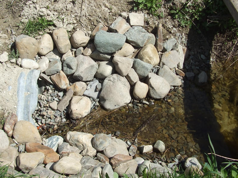 Up Stream Culvert Entrance.