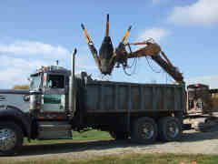 Tree transplanting