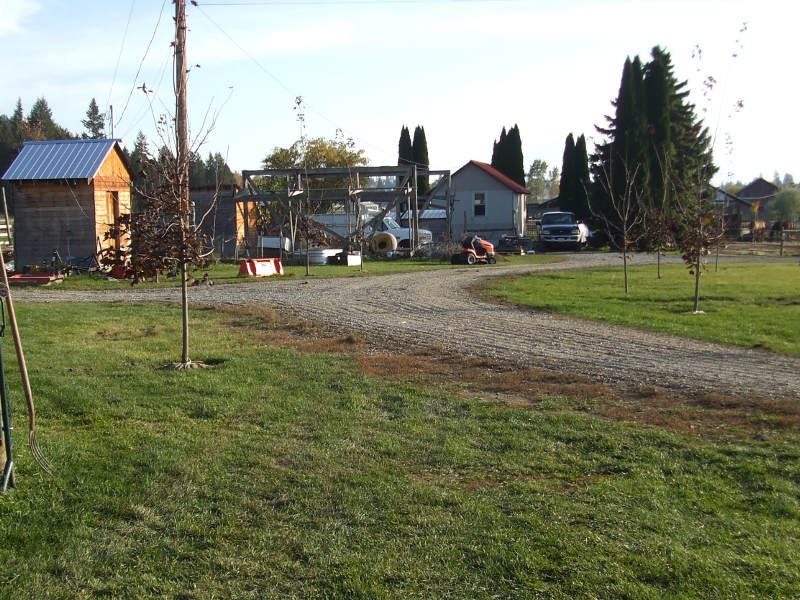 Tree Lined View.