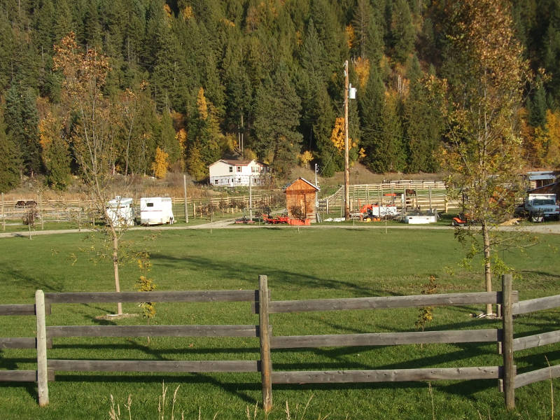 Tree Lined View.