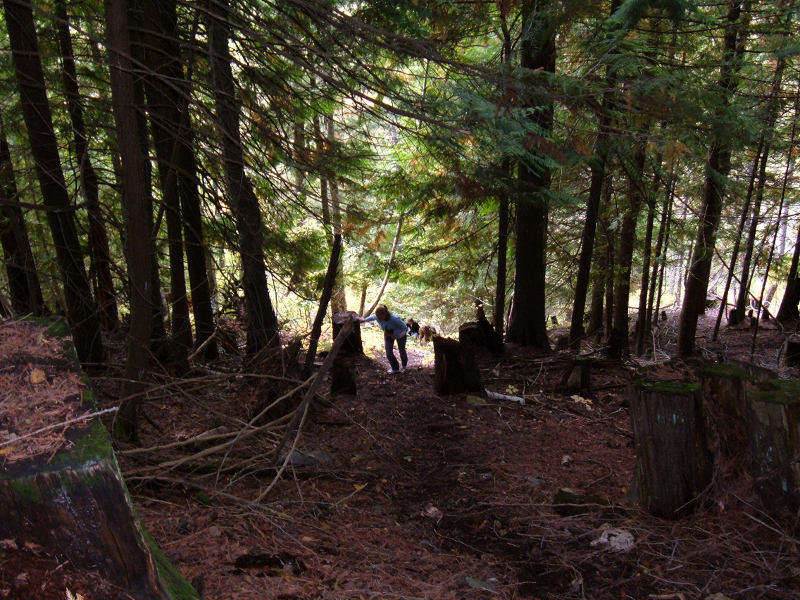 Long Climb To The Water System.