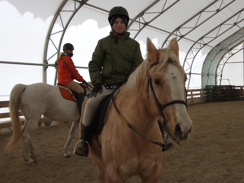 Supporting The Local Equine Seminar Circuit.