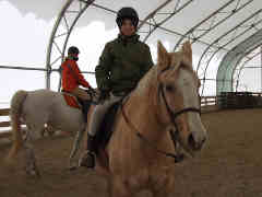 Participating in an equine behavior seminar