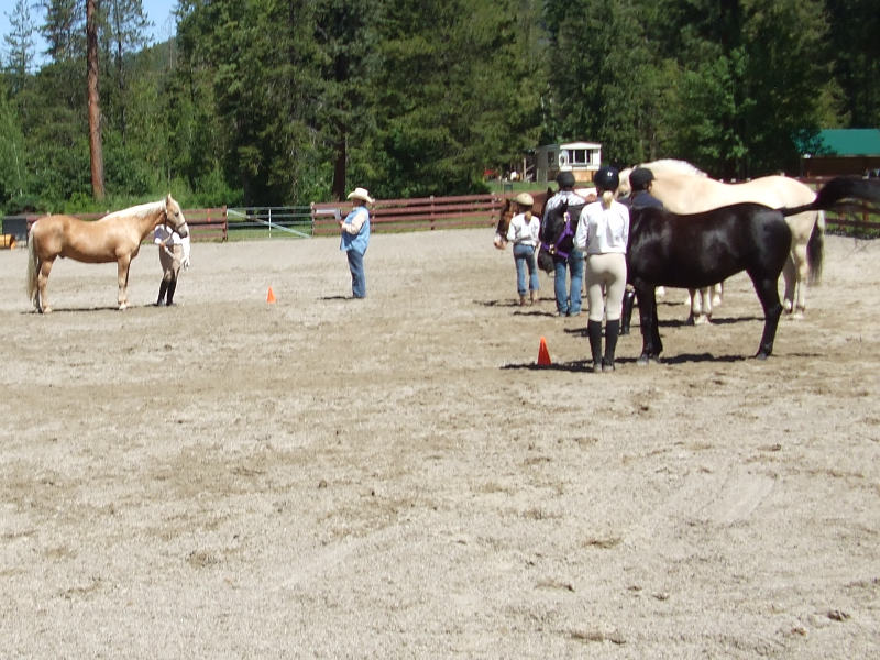 Presenting At A Local 4H Event.