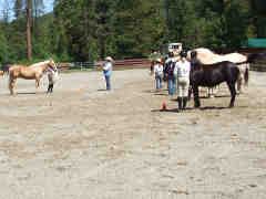 The local 4H club presentation