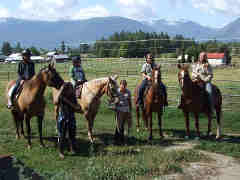 Participating in an equine behavior seminar