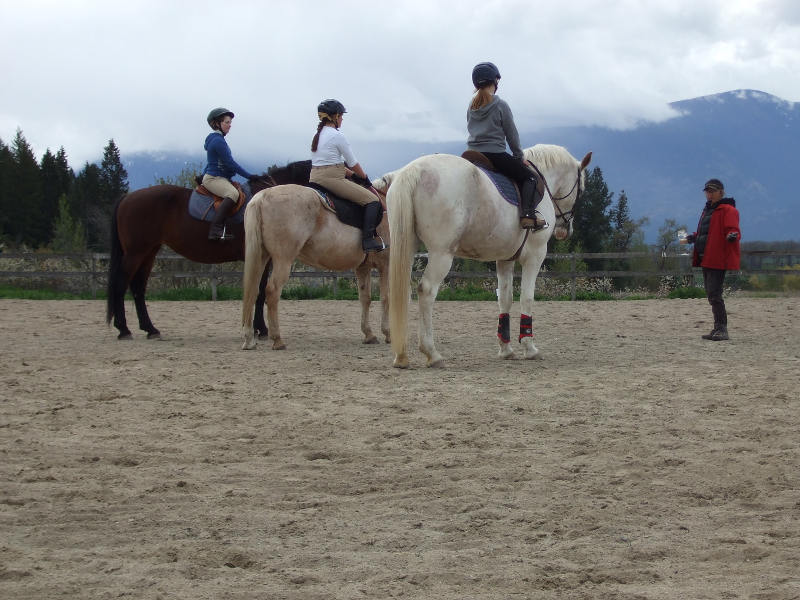 Supporting The Local Equine Seminar Circuit.