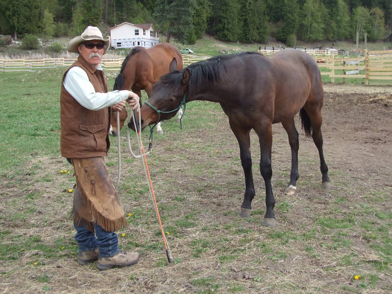 The Yearling Colt Needs Discipline.