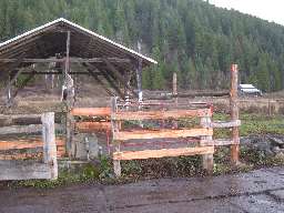 East view stallion fence repaired