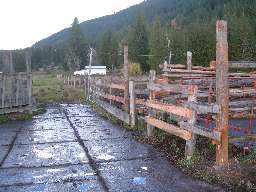 North view stallion fence repaired