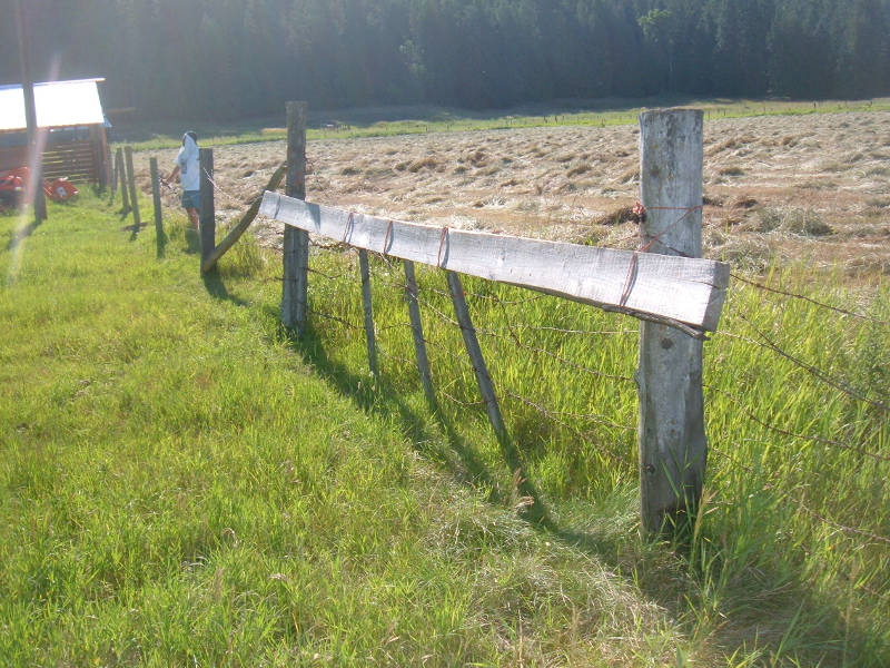 Removing The Remaining Barbwire.