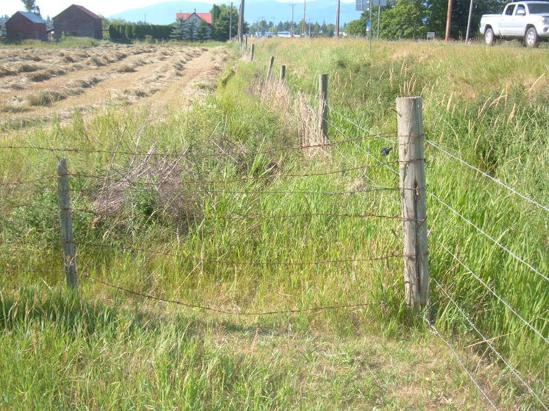 Removing The Remaining Barbwire.