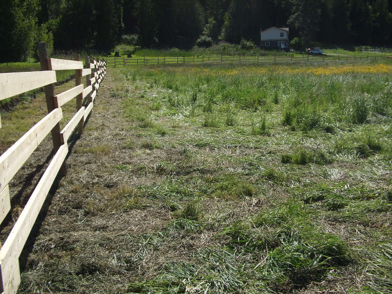 Replacing The Wire Fences.