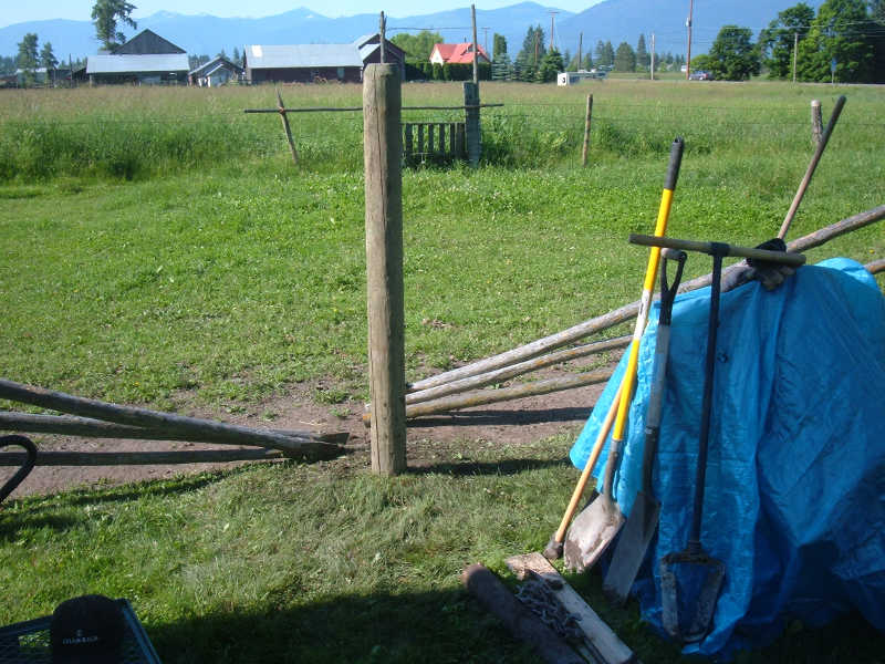 Reparing Old Fences.