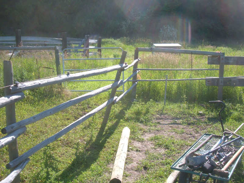 Reparing Old Fences.