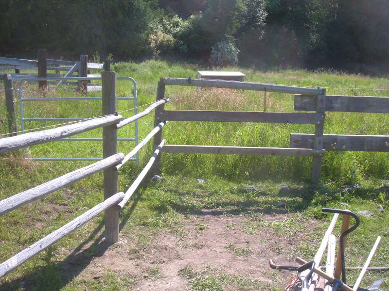 Reparing Old Fences.