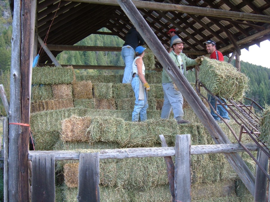 That is a lot or hay.