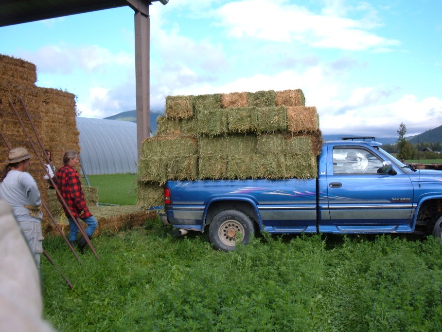 Filling the DaryTruck.