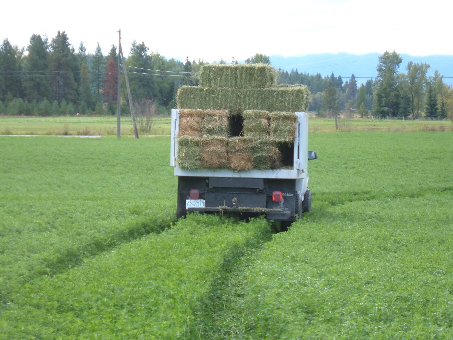 Tippy loaded.