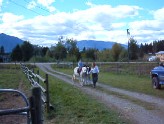 Trotting down the driveway