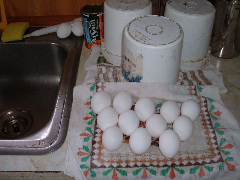 Clean Eggs.
