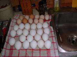 Egg drying