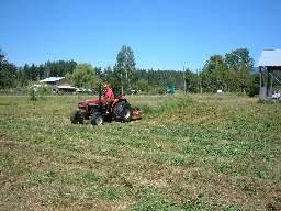 Uncle Wayne gets rid of the weeds