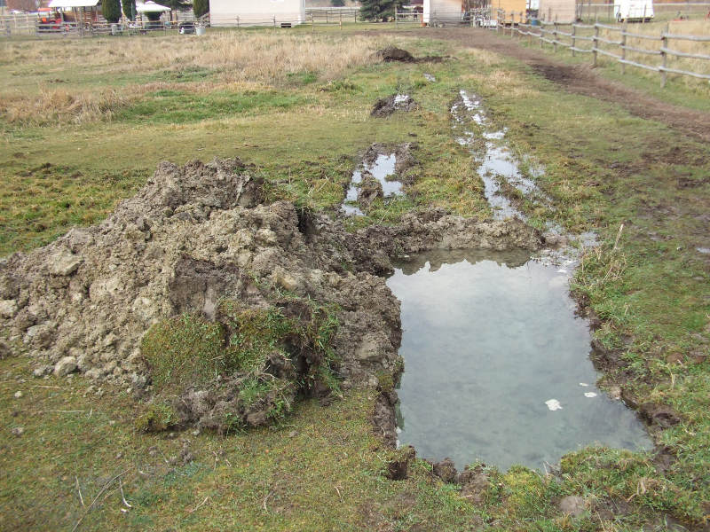 Some Pastures Have Flooding Issues.