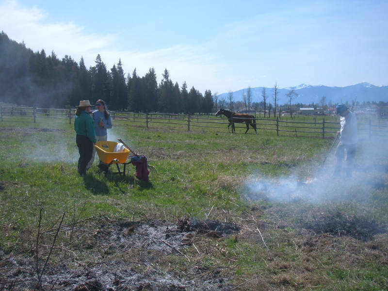 We Used Only Natural Methods To Clean The Pastures.
