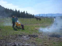 Rescuing the pastures