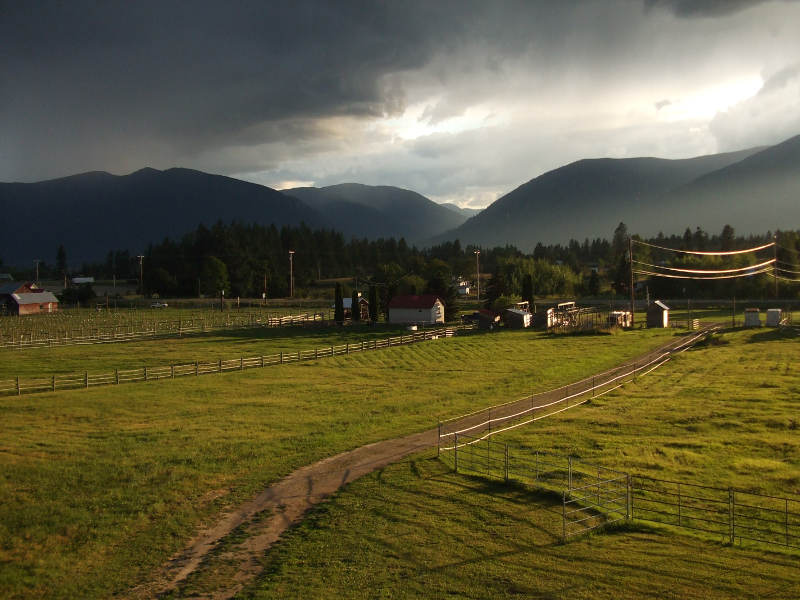 We Used Only Natural Methods To Clean The Pastures.