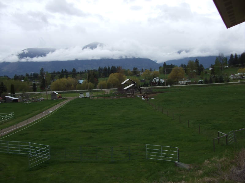 We Used Only Natural Methods To Clean The Pastures.