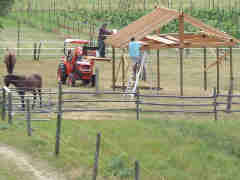 Second loafing shed