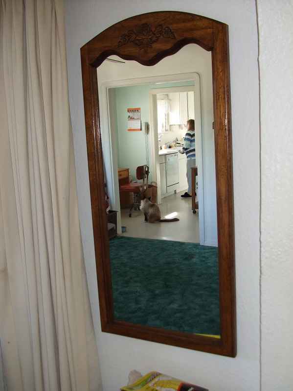 The Evil Mirror Watches The Kitchen.