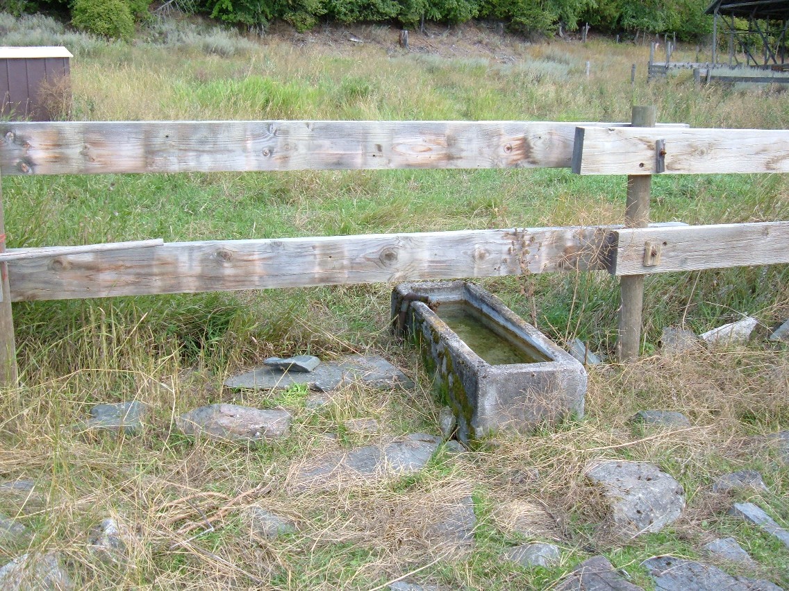 Perpetual water troughs.