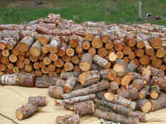 Firewood bucked