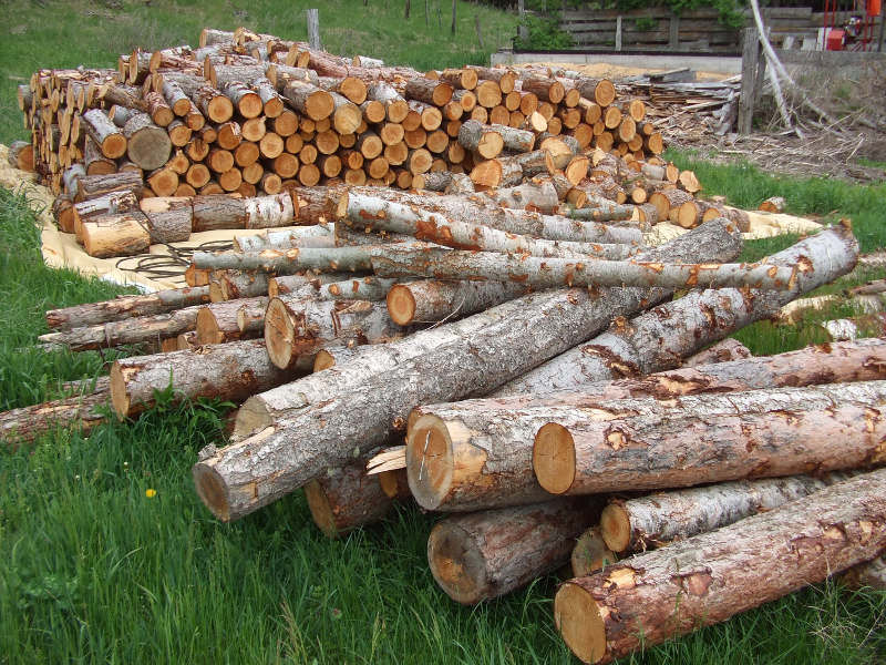 Firewood Bucked And Seasoning.