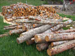 Firewood bucked