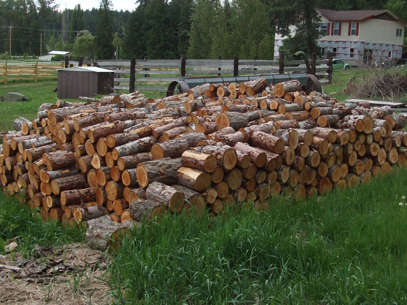 Firewood Bucked And Seasoning.