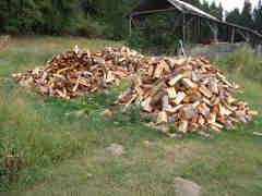 Firewood split