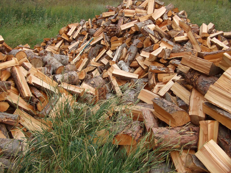 Firewood Split And Finishing Seasoning.