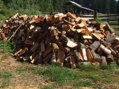 Firewood split and seasoning