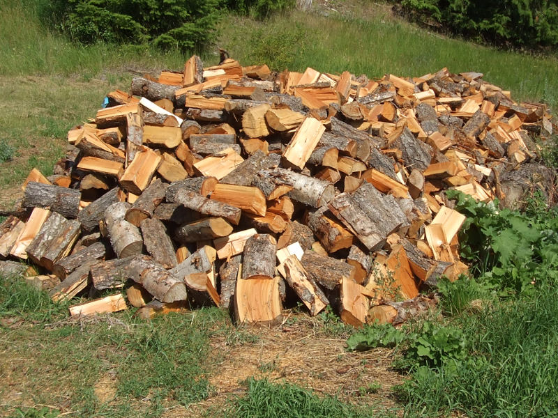 Firewood Bucked Split And Drying.